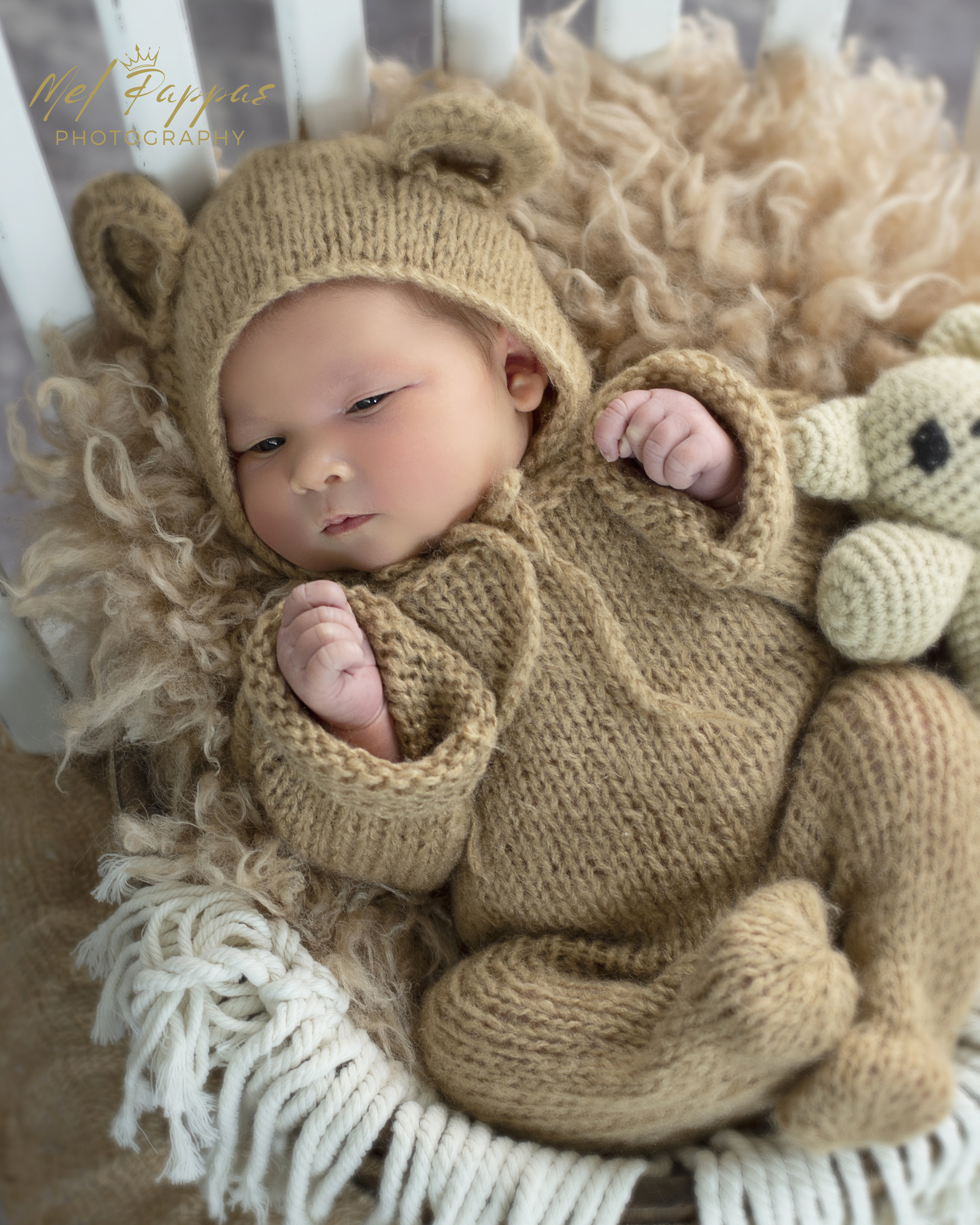 DSC_4661 F Insta Crop